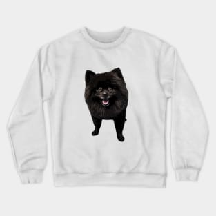 Pomeranian Black Beauty Crewneck Sweatshirt